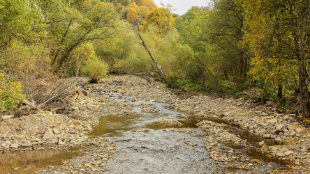 Similar image 6103069