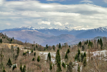 Similar image 6103106