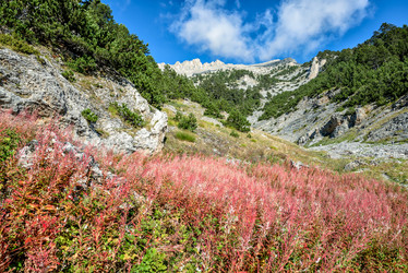 Similar image 6103117