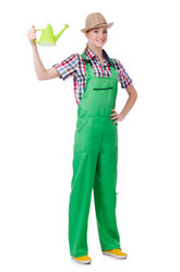 Similar image 6103349