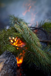 Similar image 6103380