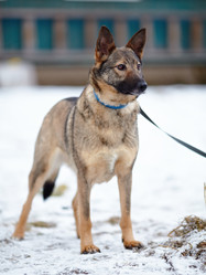 Similar image 6103389