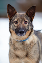 Similar image 6103393