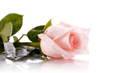 Similar image 6103398