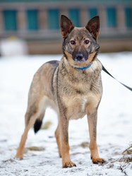 Similar image 6103399