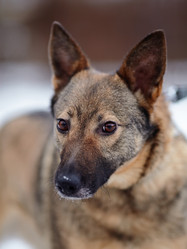 Similar image 6103404