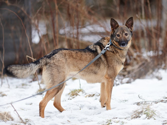 Similar image 6103415