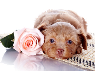 Similar image 6103419