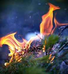 Similar image 6103420