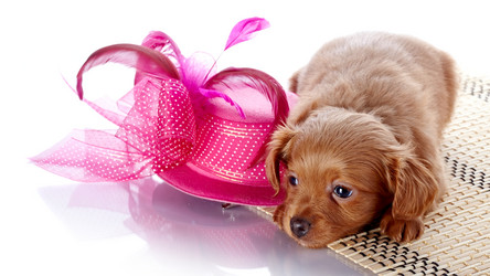 Similar image 6103423