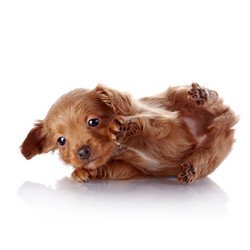 Similar image 6103430