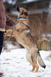 Similar image 6103431