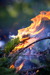 Similar image 6103432