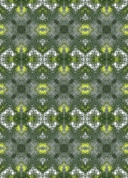 Similar image 6103886