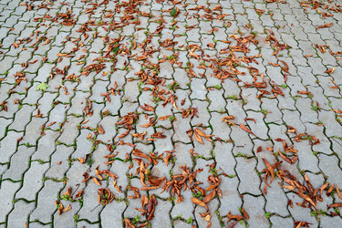 Similar image 6103887