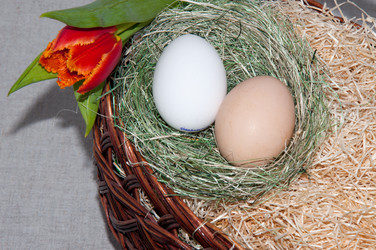 Similar image 6103969