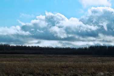 Similar image 6103971