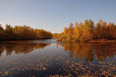 Similar image 6103989