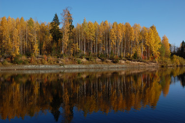 Similar image 6103995