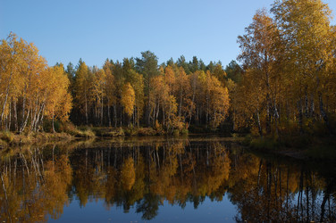 Similar image 6103999