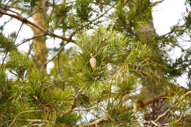 Similar image 6104000