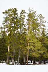 Similar image 6104002