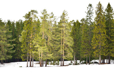 Similar image 6104003