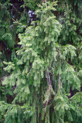 Similar image 6104004