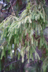 Similar image 6104006