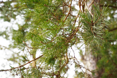 Similar image 6104007