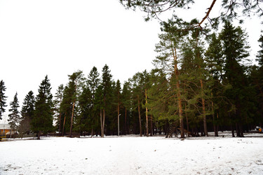 Similar image 6104008