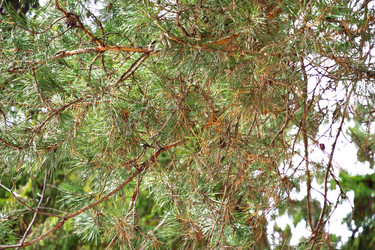 Similar image 6104009