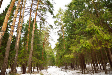 Similar image 6104010