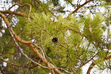 Similar image 6104011