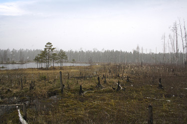 Similar image 6104029