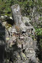 Similar image 6104037