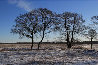 Similar image 6104157