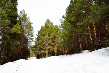 Similar image 6104187