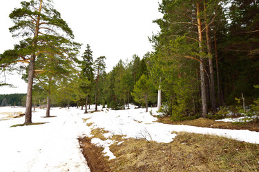 Similar image 6104188