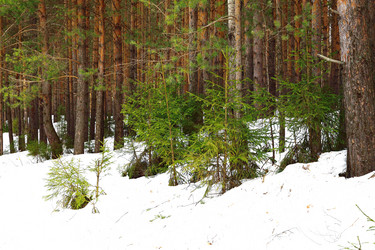 Similar image 6104189