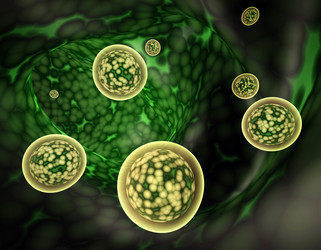 Similar image 6104233