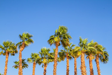 Similar image 6104254