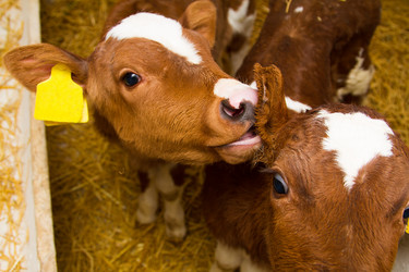 Similar image 6104258