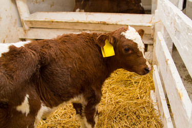 Similar image 6104259