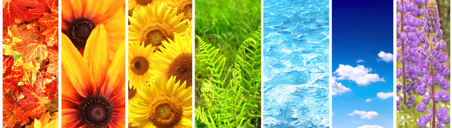 Similar image 6104273