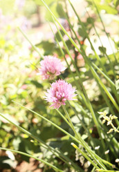 Similar image 6104276