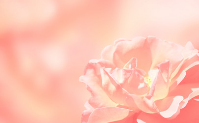 Similar image 6104277