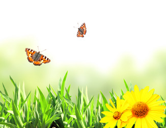 Similar image 6104282