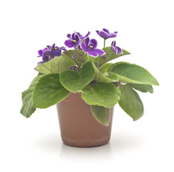 Similar image 6104432