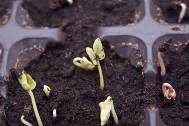 Similar image 6104435